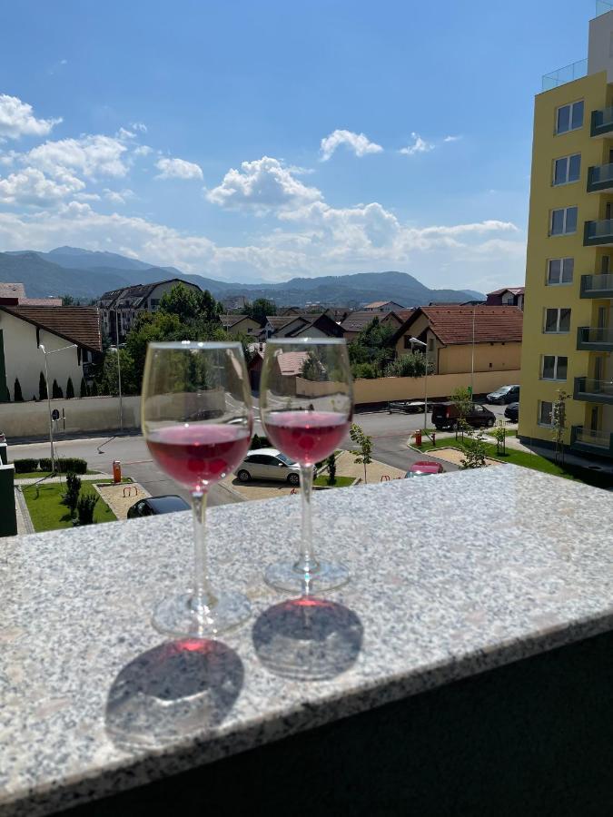 Mountain View Maria Daire Braşov Dış mekan fotoğraf
